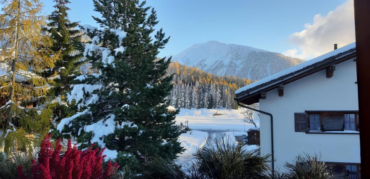 B&B Haus Im Sand Davos Bagian luar foto
